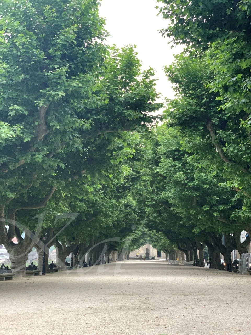 c_f6cUd018svcbm3xlu5fomci_wocx9r.jpg?type=e1920_std