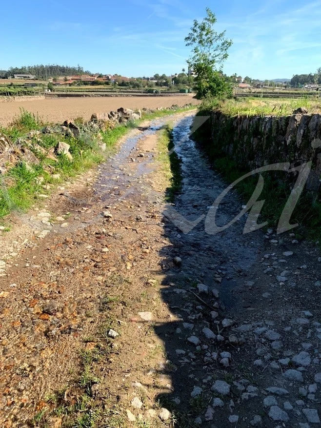 8_565Ud018svcl5g7nj1vdieq_wocx9r.jpg?type=e1920_std