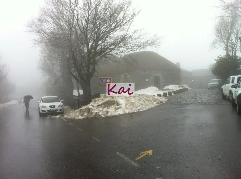 image_9843031211515607631908.jpg?type=w773