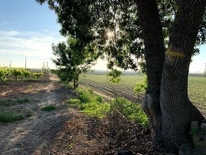 h_ebjUd018svc12o8wy15e9eov_wocx9r.jpg?type=e1920_std