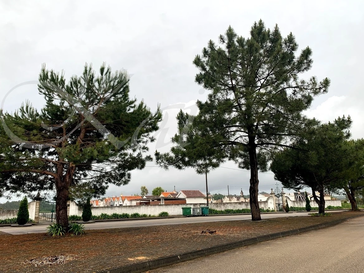 b_5fiUd018svcurdmza9gn8or_wocx9r.jpg?type=e1920_std