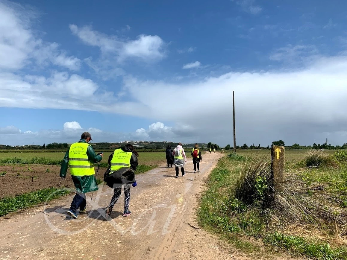 _QXHHiJyj0nR1UG8t1H1ZlARwzk