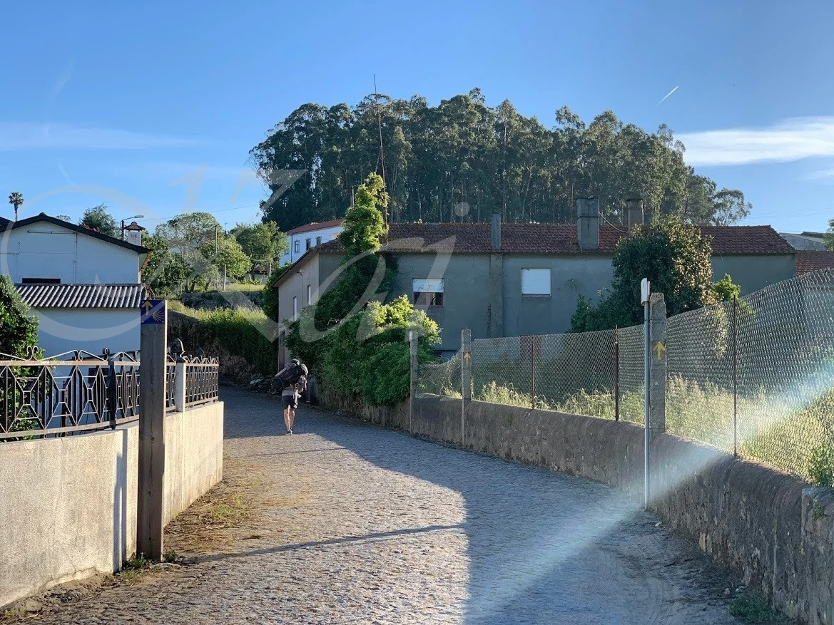 6_265Ud018svc1dqxm6yzya7jk_wocx9r.jpg?type=e1920_std