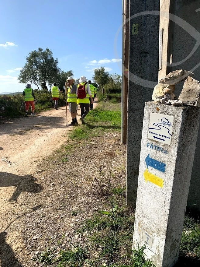 9_187Ud018svc17alykl5p8hvi_wocx9r.jpg?type=e1920_std