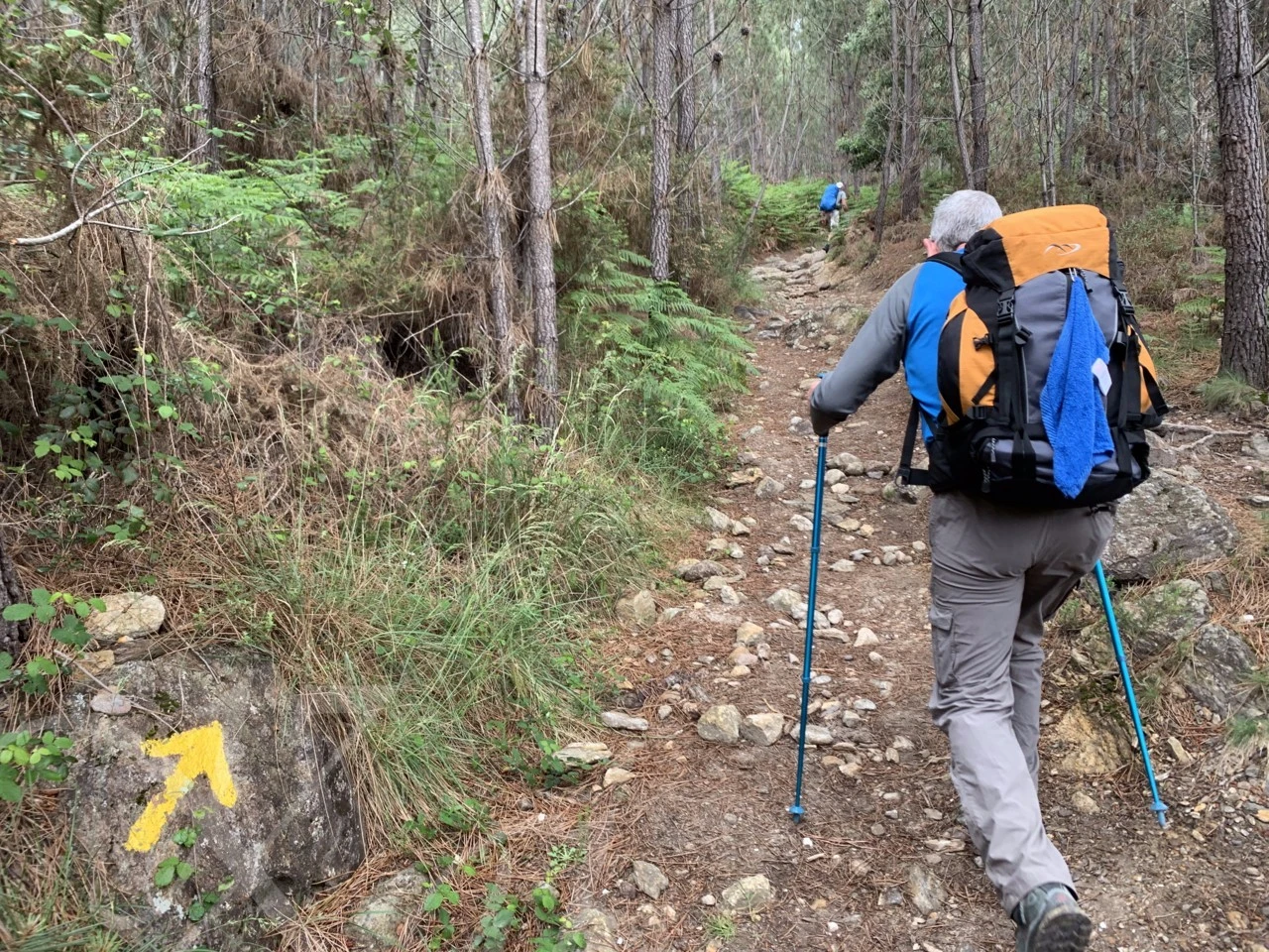 5_a59Ud018svck560xvhnpi3f_wocx9r.png?type=e1920_std