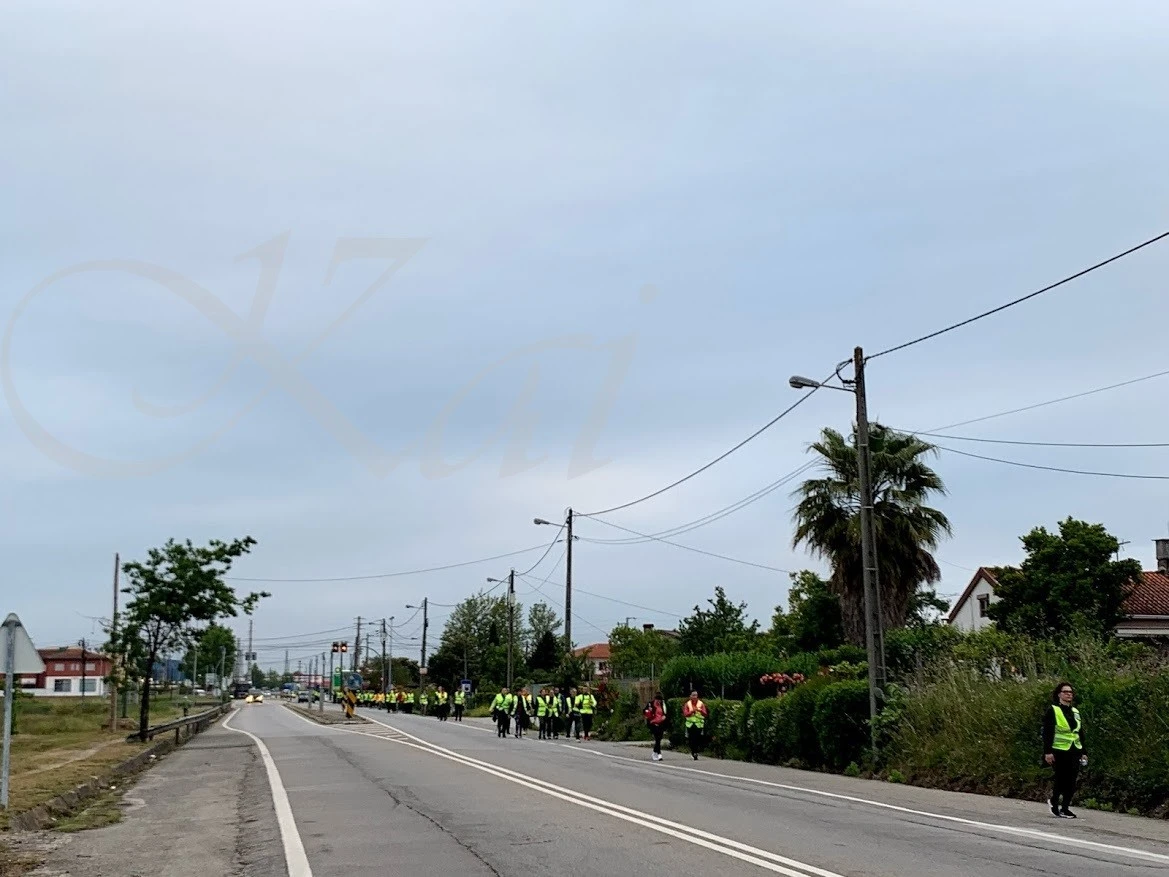 h_033Ud018svcvy584x0c9yxb_wocx9r.jpg?type=e1920_std