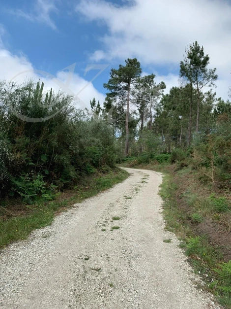 h_i2fUd018svc10k0n6h8ss1gr_wocx9r.jpg?type=e1920_std