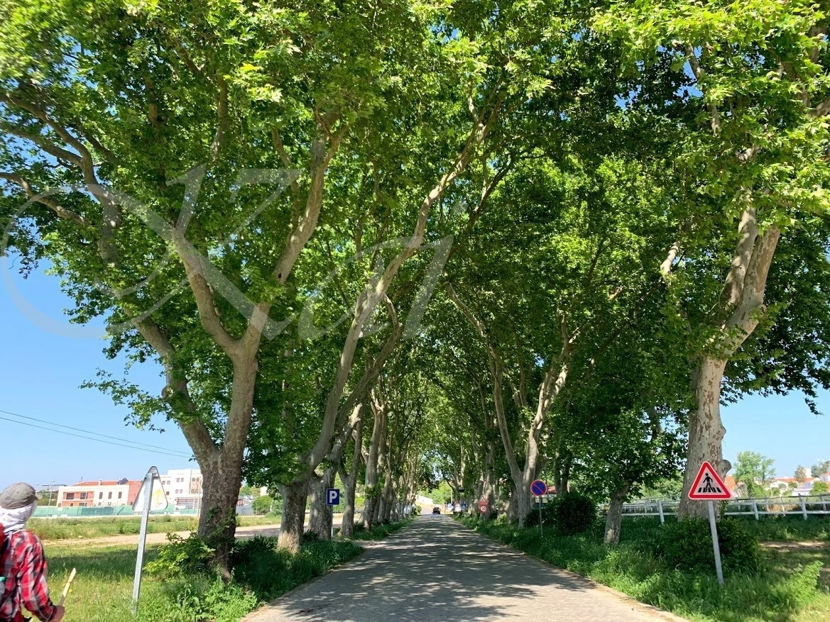 b_cc0Ud018svcwtgvp8vkicsj_wocx9r.jpg?type=e1920_std