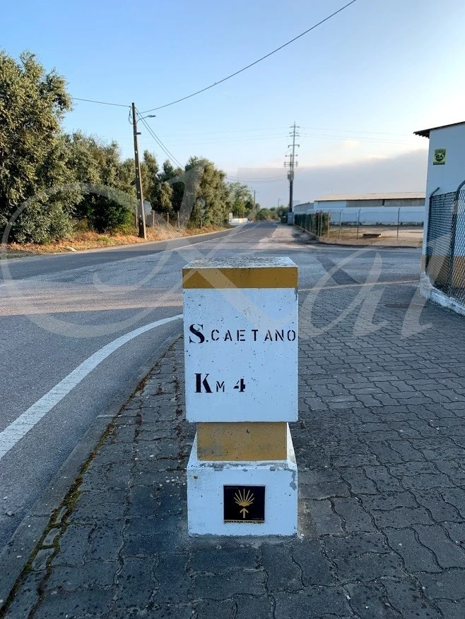 g_c04Ud018svc1gihh6a1wm8a2_wocx9r.jpg?type=e1920_std