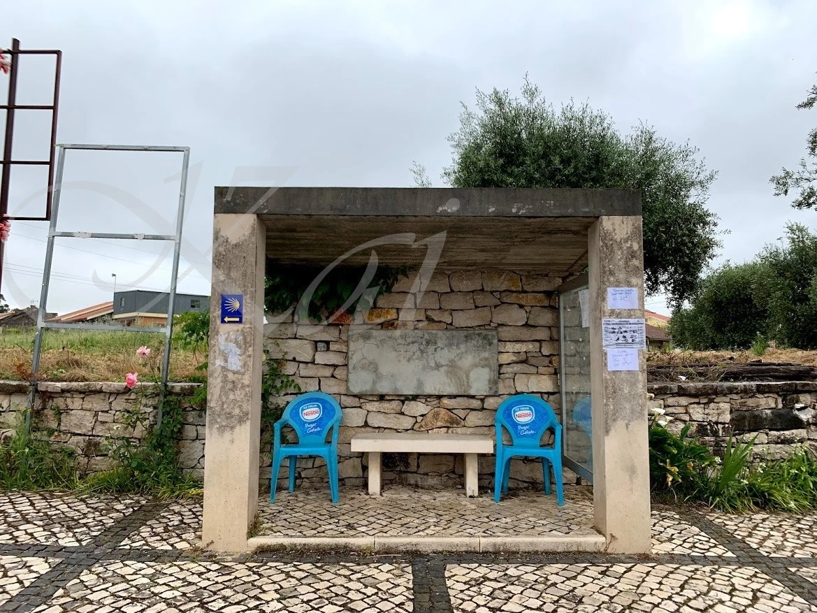 2_b8dUd018svcshm68lb0u0v6_wocx9r.jpg?type=e1920_std