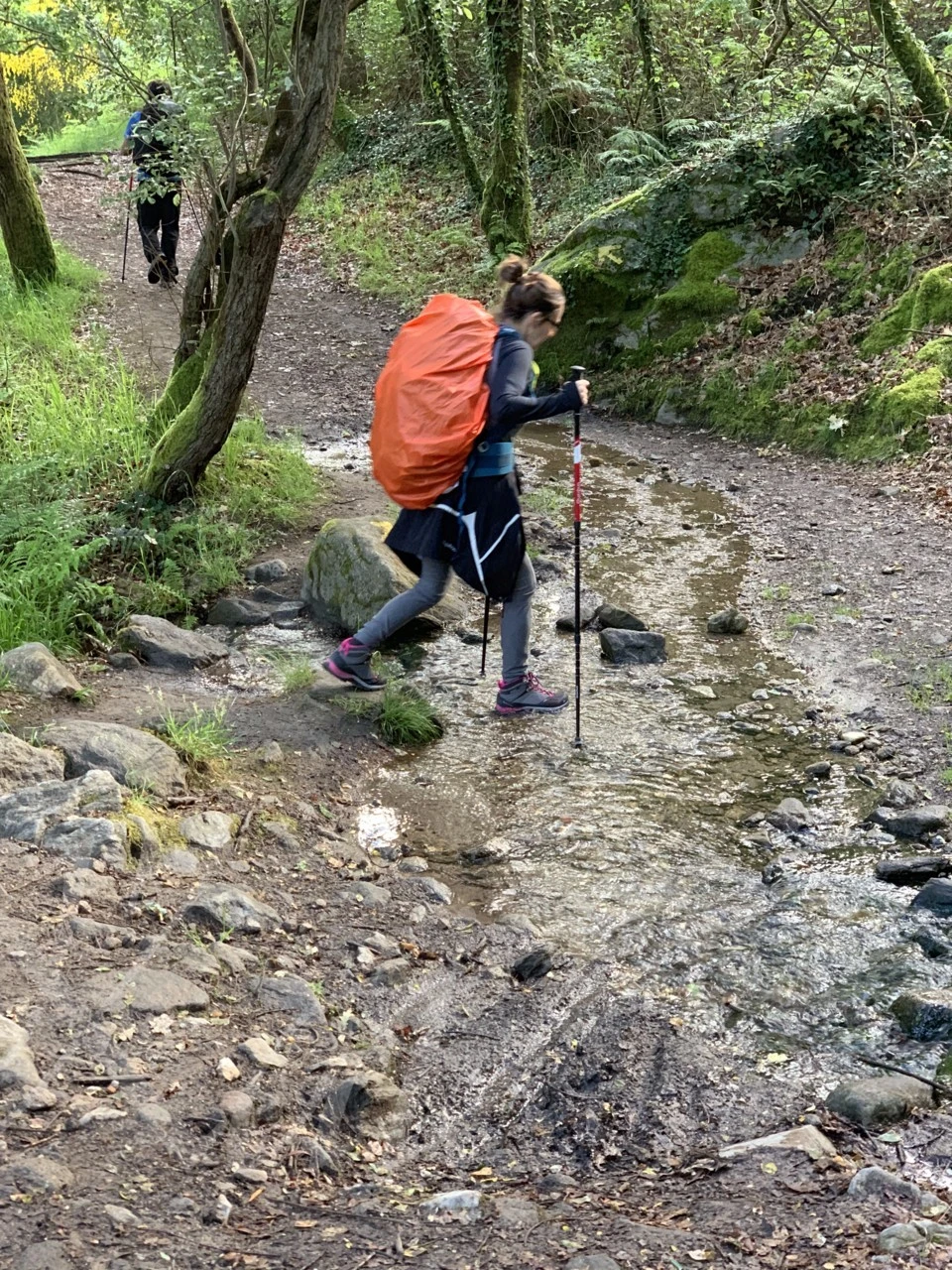 4_9edUd018svcauxeeixgtbjf_wocx9r.png?type=e1920_std