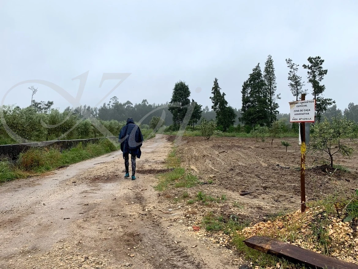 1_88dUd018svc1gn9mkg7b9o3l_wocx9r.jpg?type=e1920_std