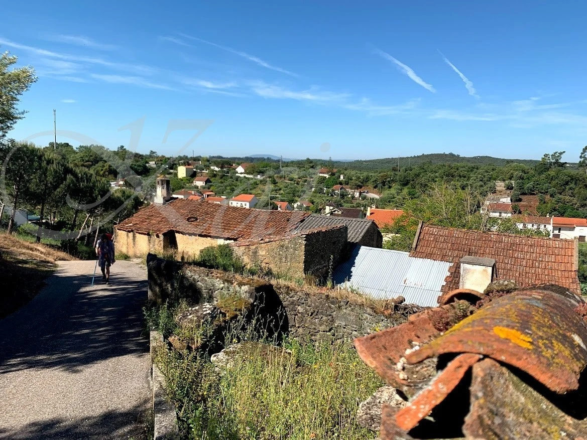 e_jc7Ud018svckcv08943j9be_wocx9r.jpg?type=e1920_std