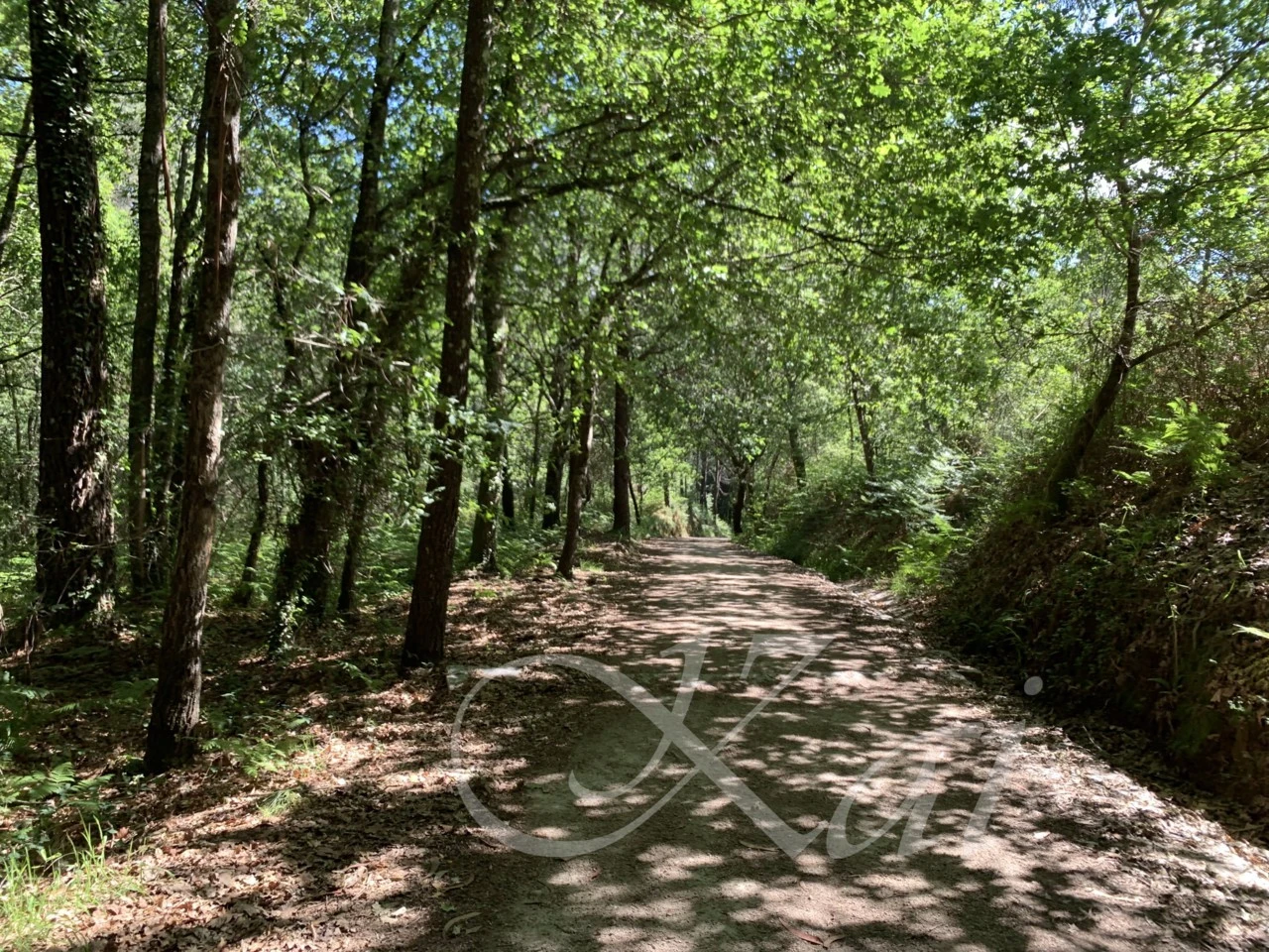 1_29dUd018svc1few30i8x38ds_wocx9r.png?type=e1920_std