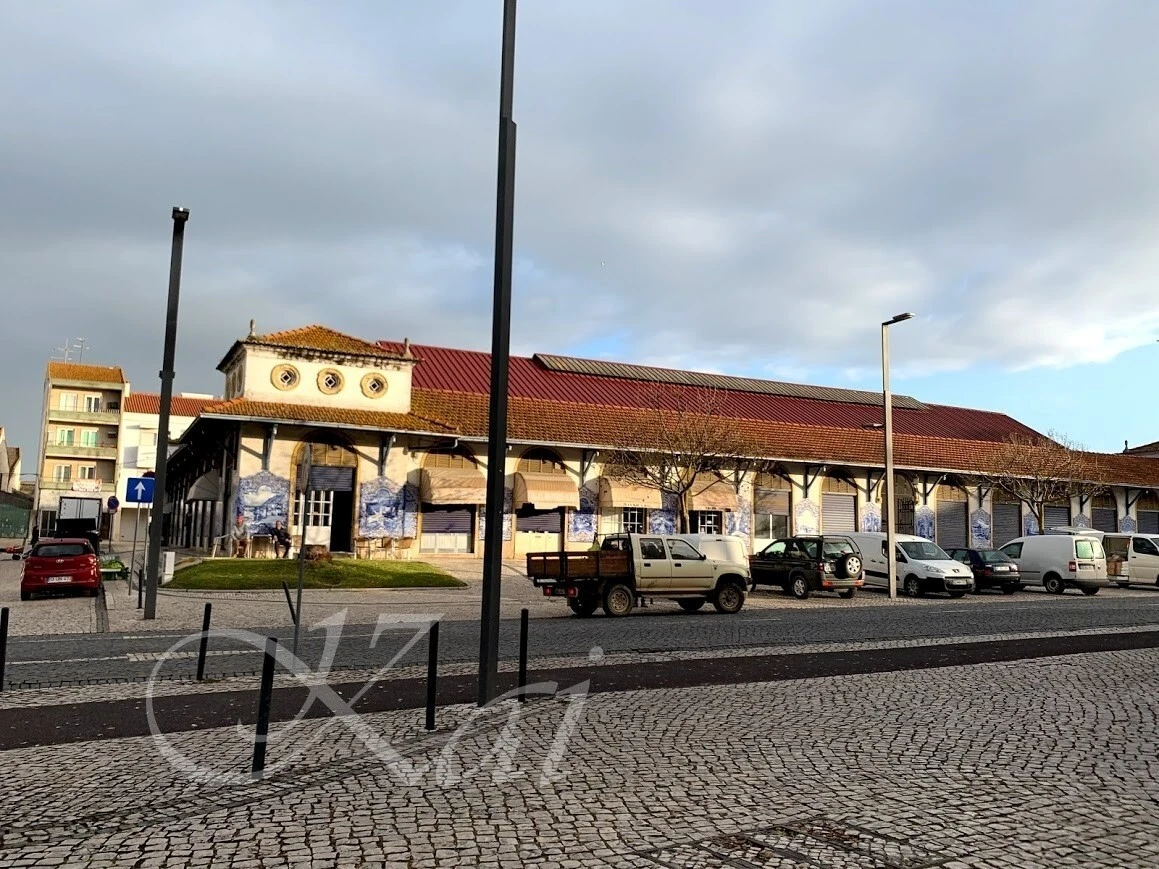 5iPozt7iN9Q2IWUNHB1OJ_fIeyc