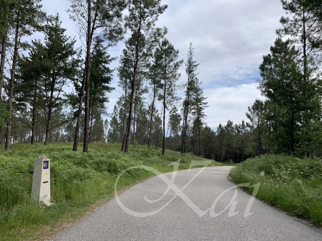 c_d86Ud018svccrpbcfajwbyw_wocx9r.png?type=e1920_std