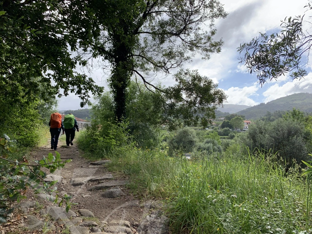 j_b57Ud018svc1ko64kj0rs83v_wocx9r.png?type=e1920_std