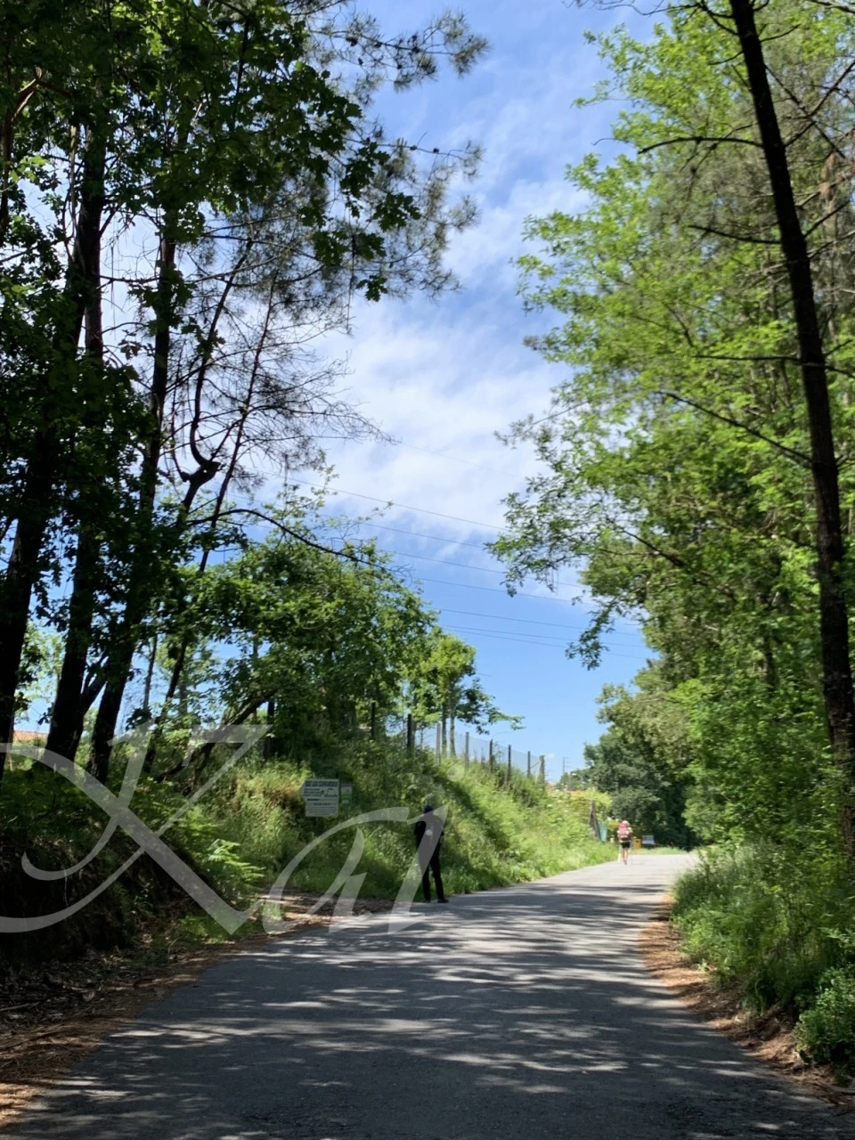 e_5gfUd018svc1ldmlb3h5vylu_wocx9r.png?type=e1920_std