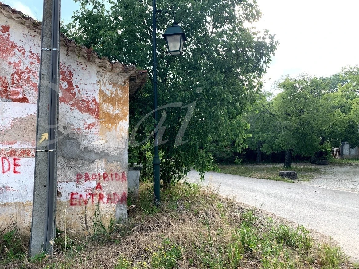 i_504Ud018svcucnci4om5arb_wocx9r.jpg?type=e1920_std