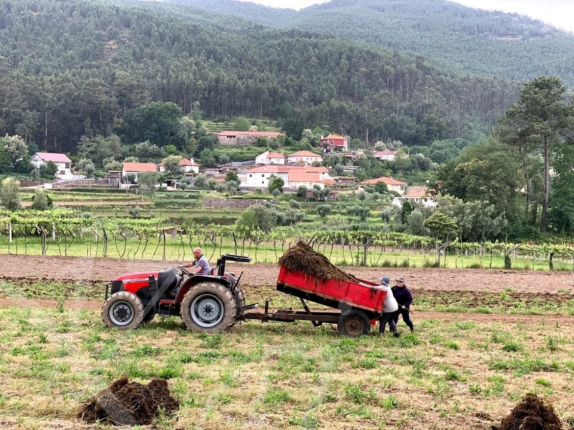 d_8daUd018svcfpkb7v36lj98_wocx9r.jpg?type=e1920_std