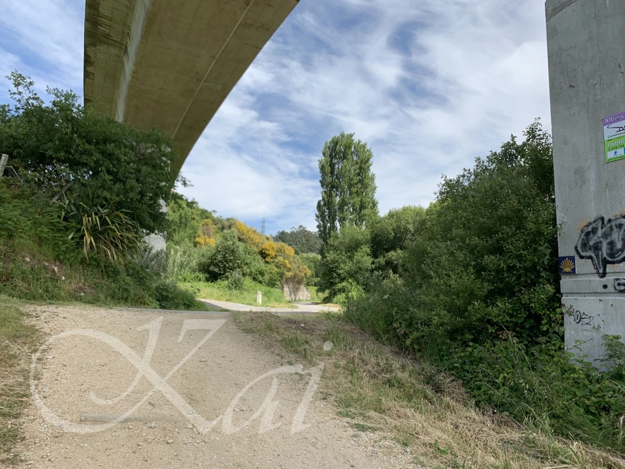 1_igfUd018svc1ti5tx14d0cnx_wocx9r.png?type=e1920_std