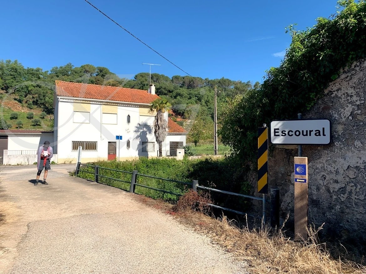 e_8c7Ud018svc1gak4uhjnv114_wocx9r.jpg?type=e1920_std