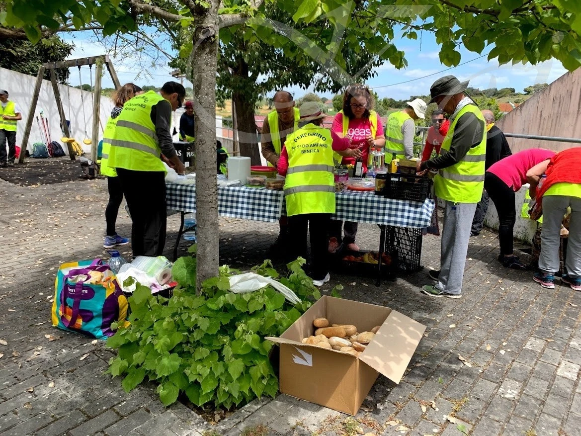 6_f87Ud018svcesibdxi22awz_wocx9r.jpg?type=e1920_std