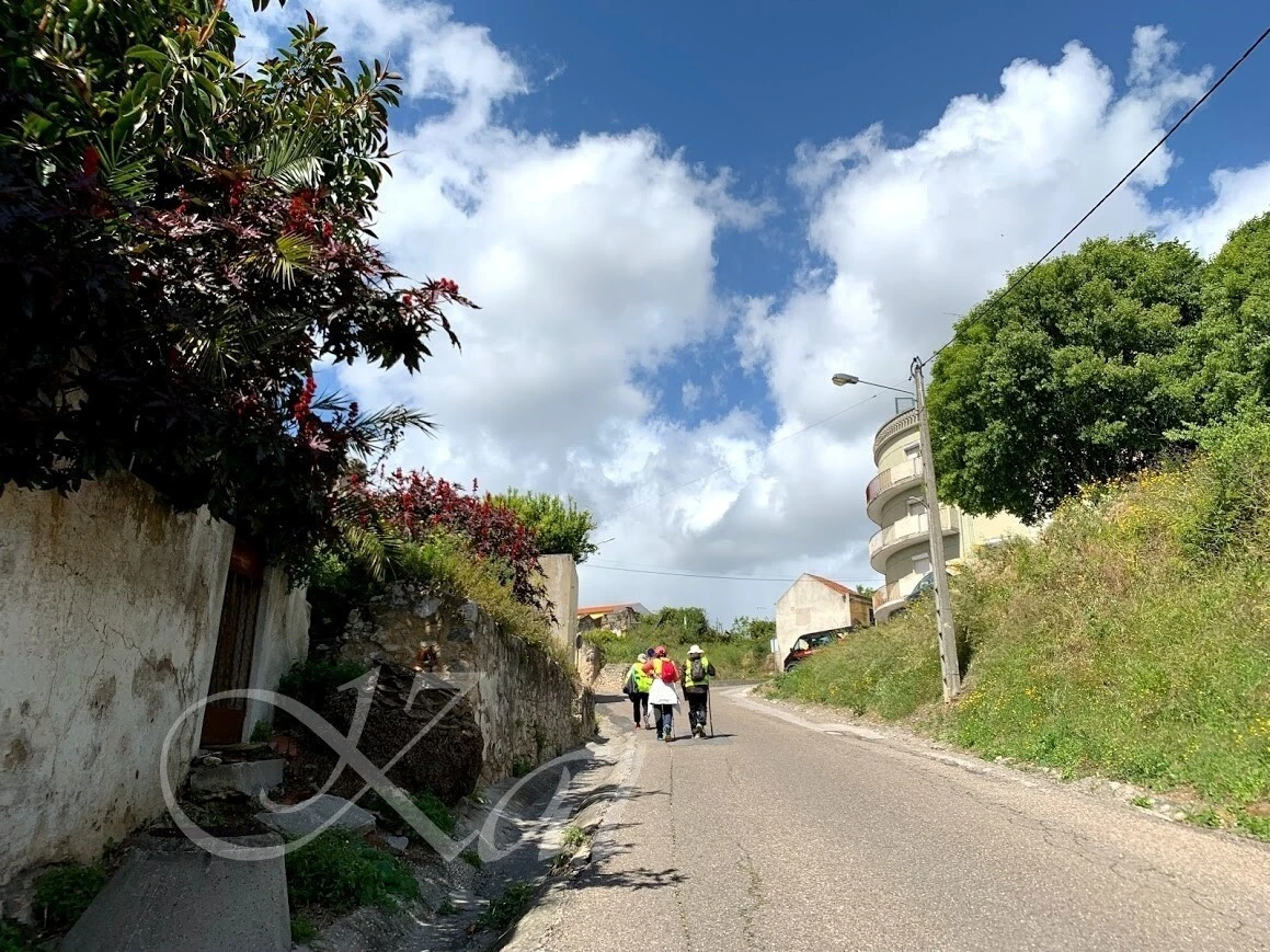 BLzifHa8AvikKifvIu_tXrcmUgY