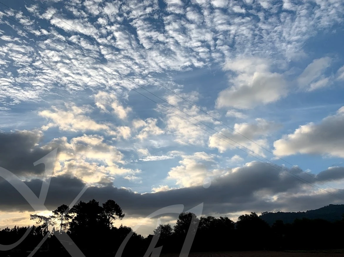 9_3daUd018svcobfkr3gkkex4_wocx9r.jpg?type=e1920_std