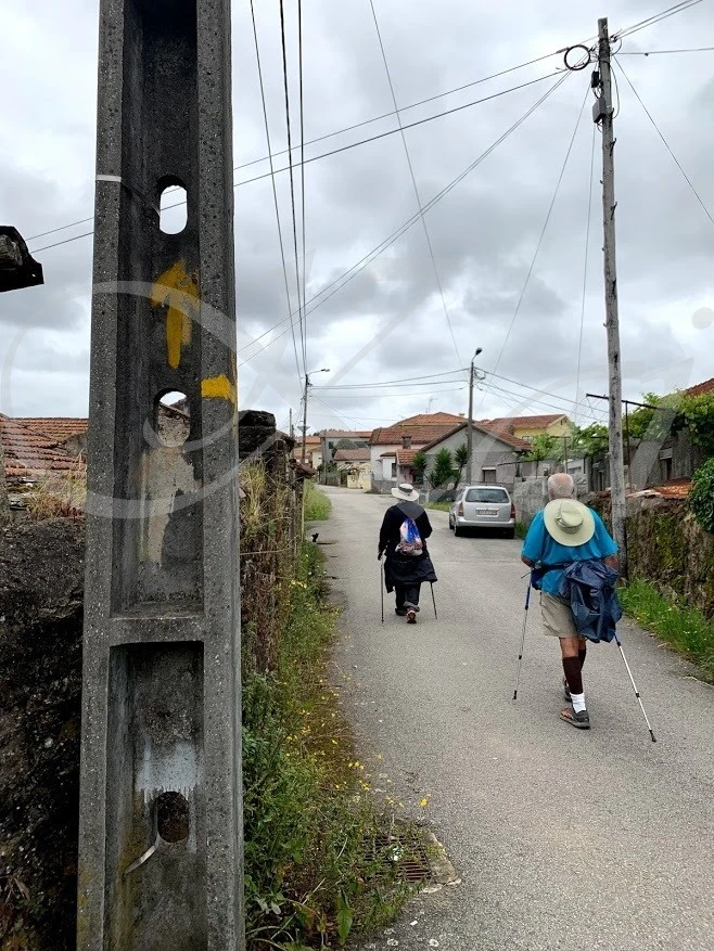 c_ca5Ud018svcanbu75zzoyw9_wocx9r.jpg?type=e1920_std