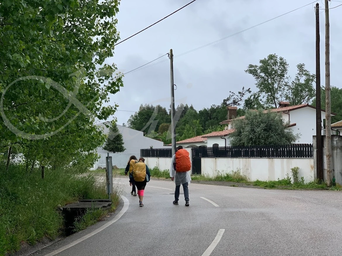 e_ffiUd018svc5qpjrphmgeu0_wocx9r.jpg?type=e1920_std