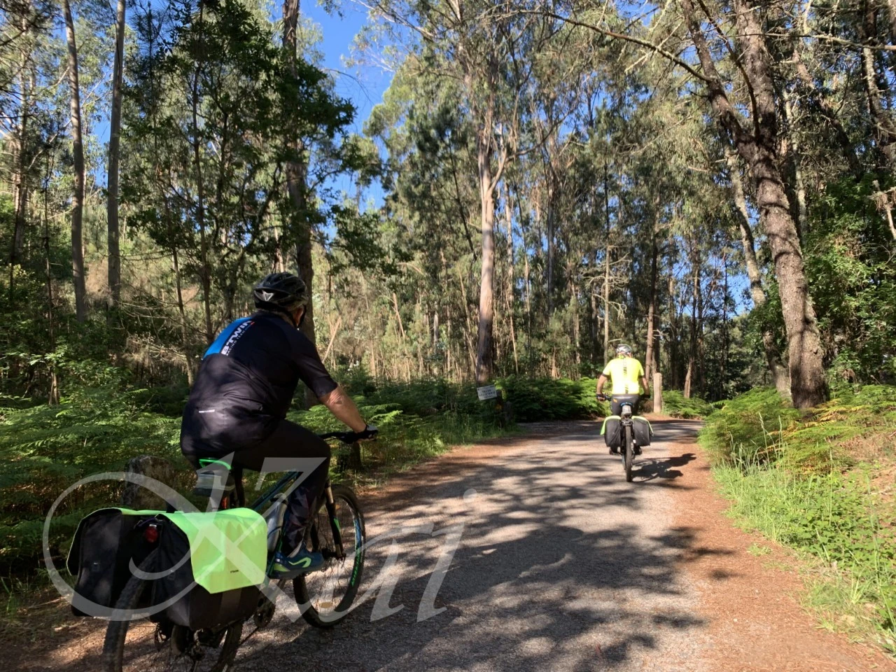 j_9d2Ud018svcle3qjwhi0flx_wocx9r.png?type=e1920_std