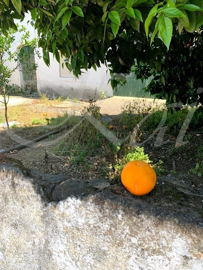 3_e05Ud018svc1bb3cbqw7g3fx_wocx9r.jpg?type=e1920_std