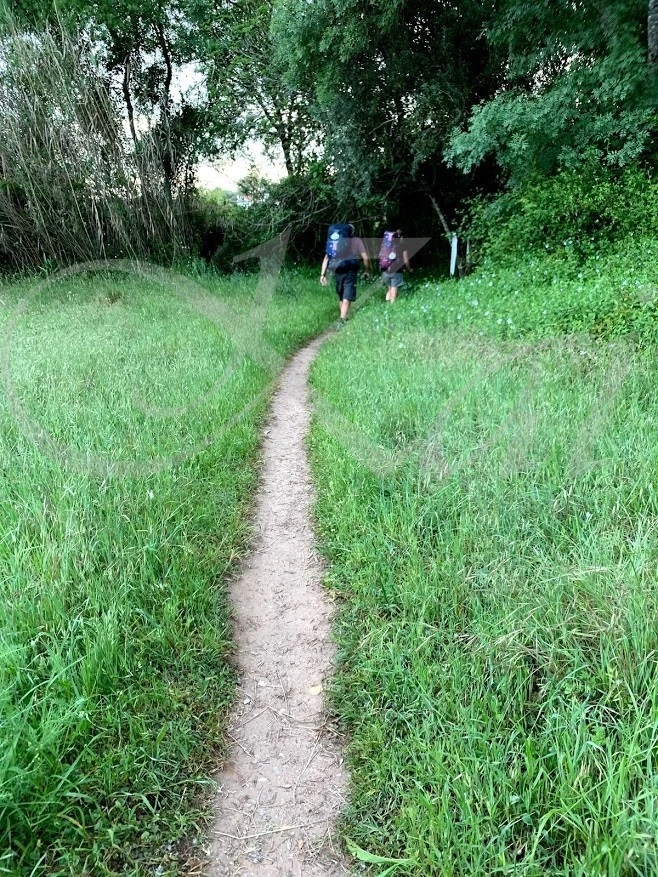 b_gc7Ud018svcuhnuf2uqk1xw_wocx9r.jpg?type=e1920_std