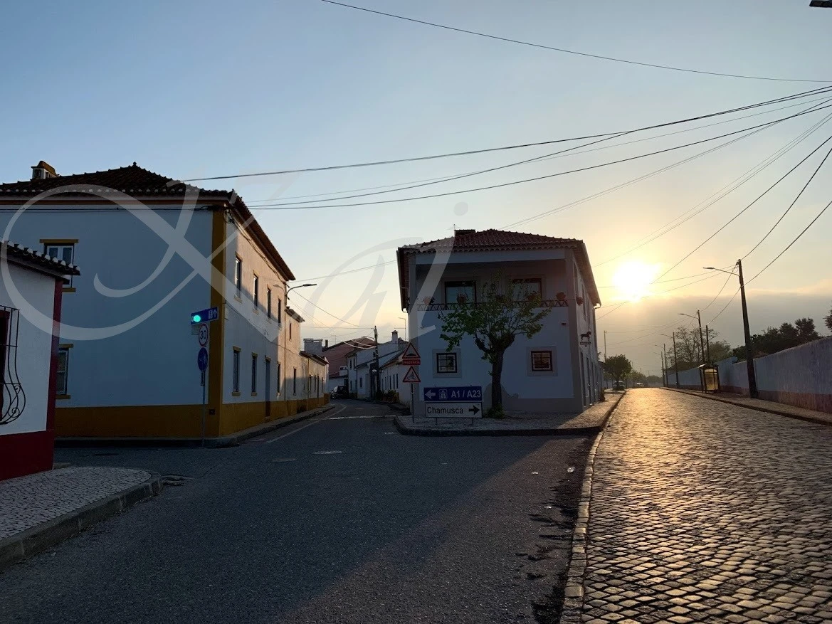 g_a04Ud018svcn70can4awzfp_wocx9r.jpg?type=e1920_std