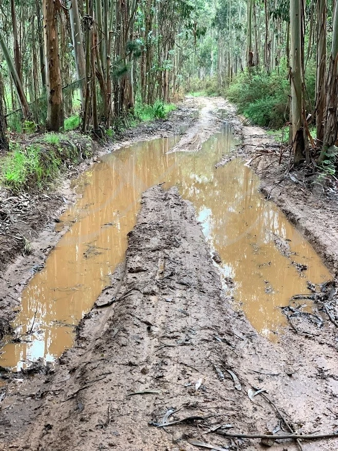 e_62dUd018svc195pjylsuhs7x_wocx9r.jpg?type=e1920_std