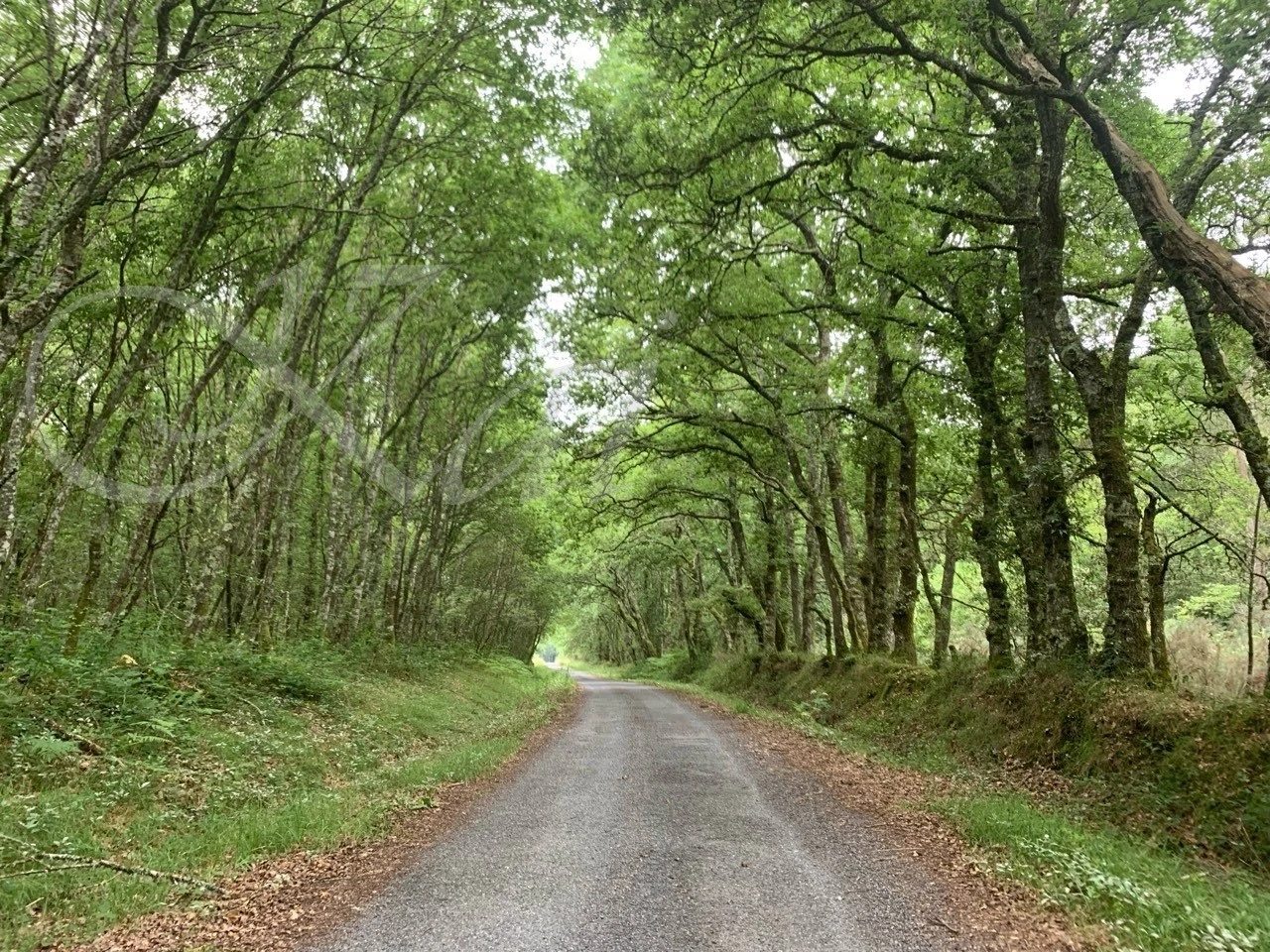 e_52fUd018svci2xxgz0fqtvo_wocx9r.jpg?type=e1920_std