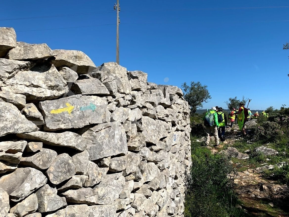 DO7wAT5gQRVs3mvzg9D-oj8g7lg