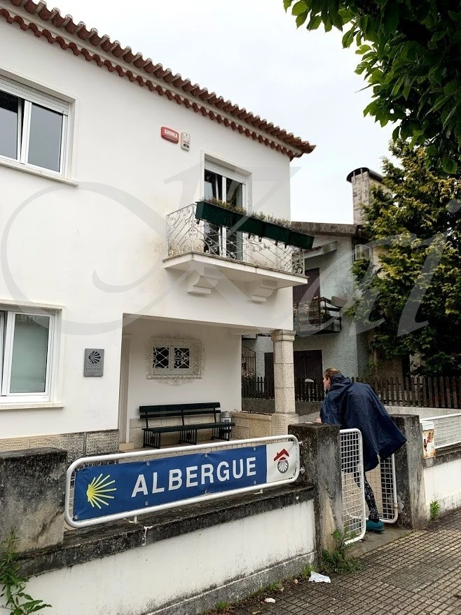 h_j35Ud018svc1cyr68o5z96ro_wocx9r.jpg?type=e1920_std