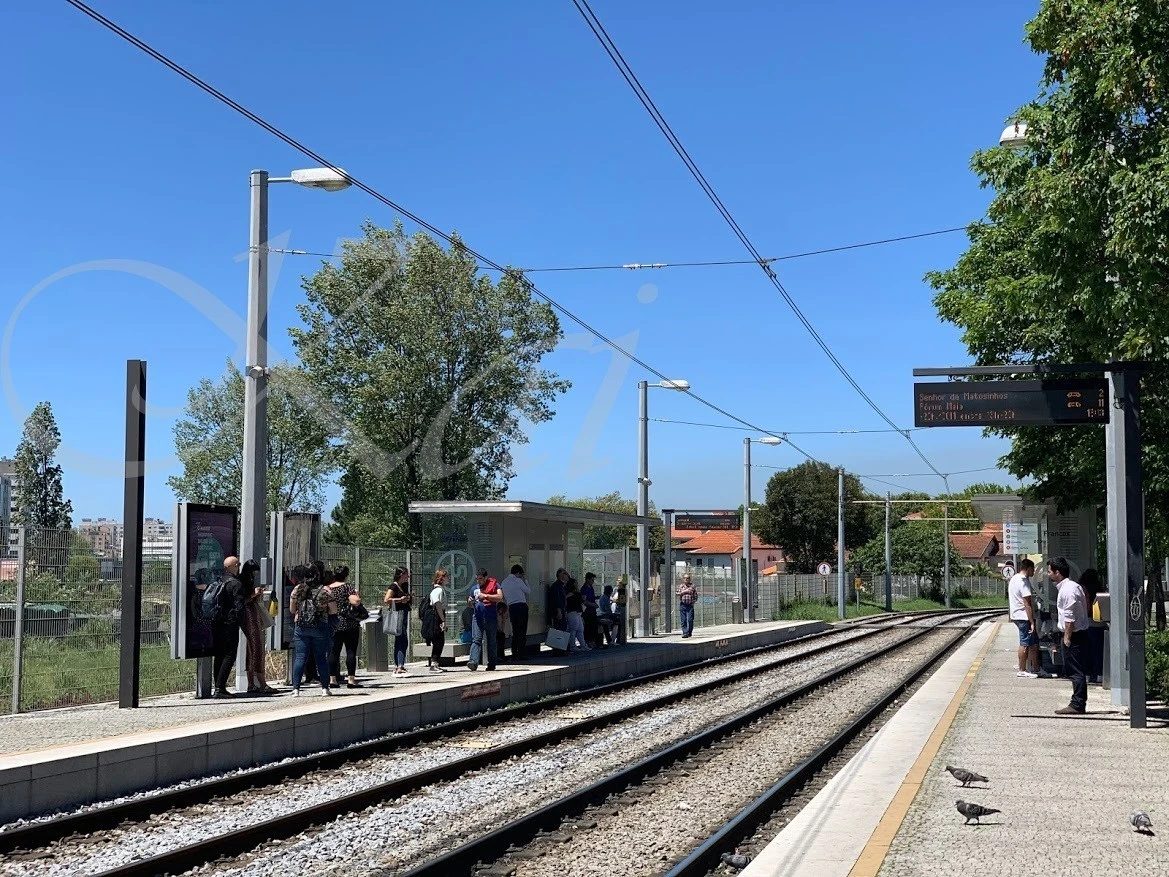 g_40eUd018svc3rfcyfyouvrn_wocx9r.jpg?type=e1920_std