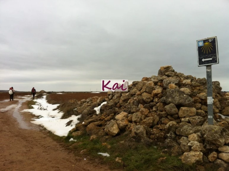 image_4604581641515607631933.jpg?type=w773