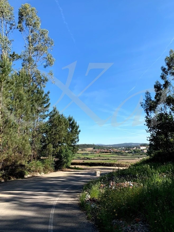 7_j65Ud018svcq28fl9c7jdh2_wocx9r.jpg?type=e1920_std