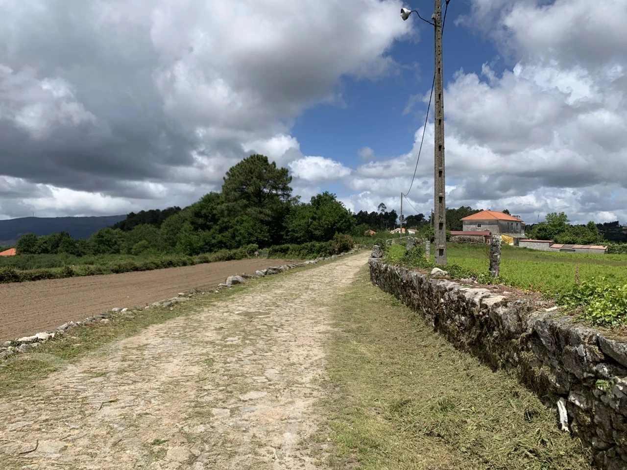 5_d5bUd018svcn965eqv2b9rb_wocx9r.png?type=e1920_std