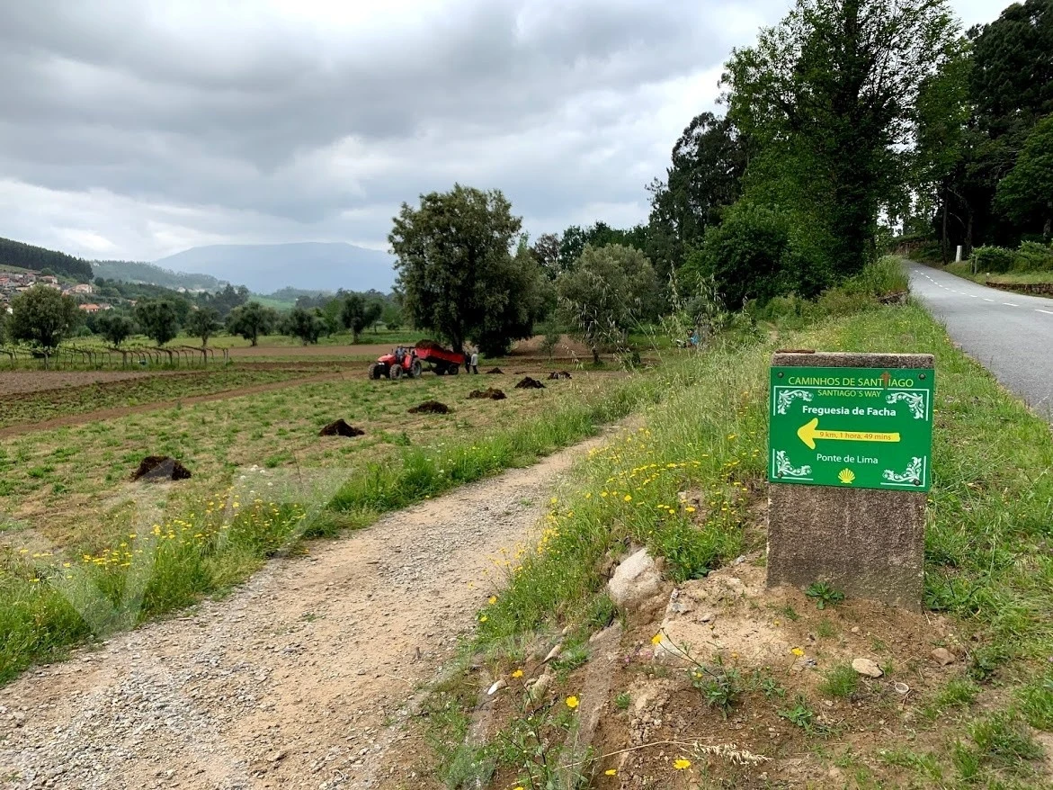 d_5daUd018svc17heimzdd9z6z_wocx9r.jpg?type=e1920_std