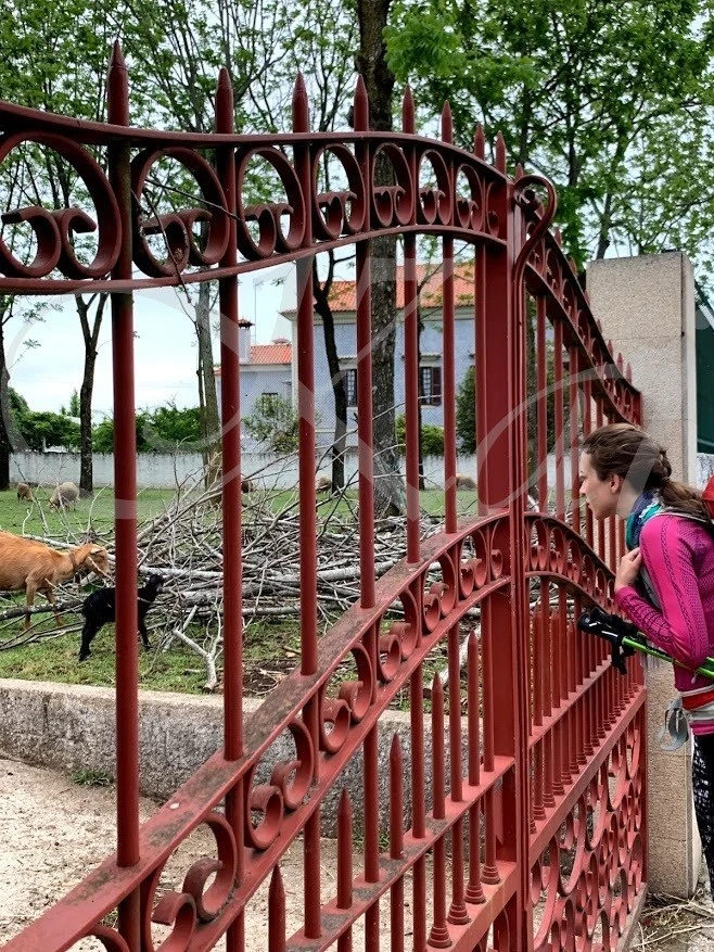 0_334Ud018svcykdeov90zxhm_wocx9r.jpg?type=e1920_std