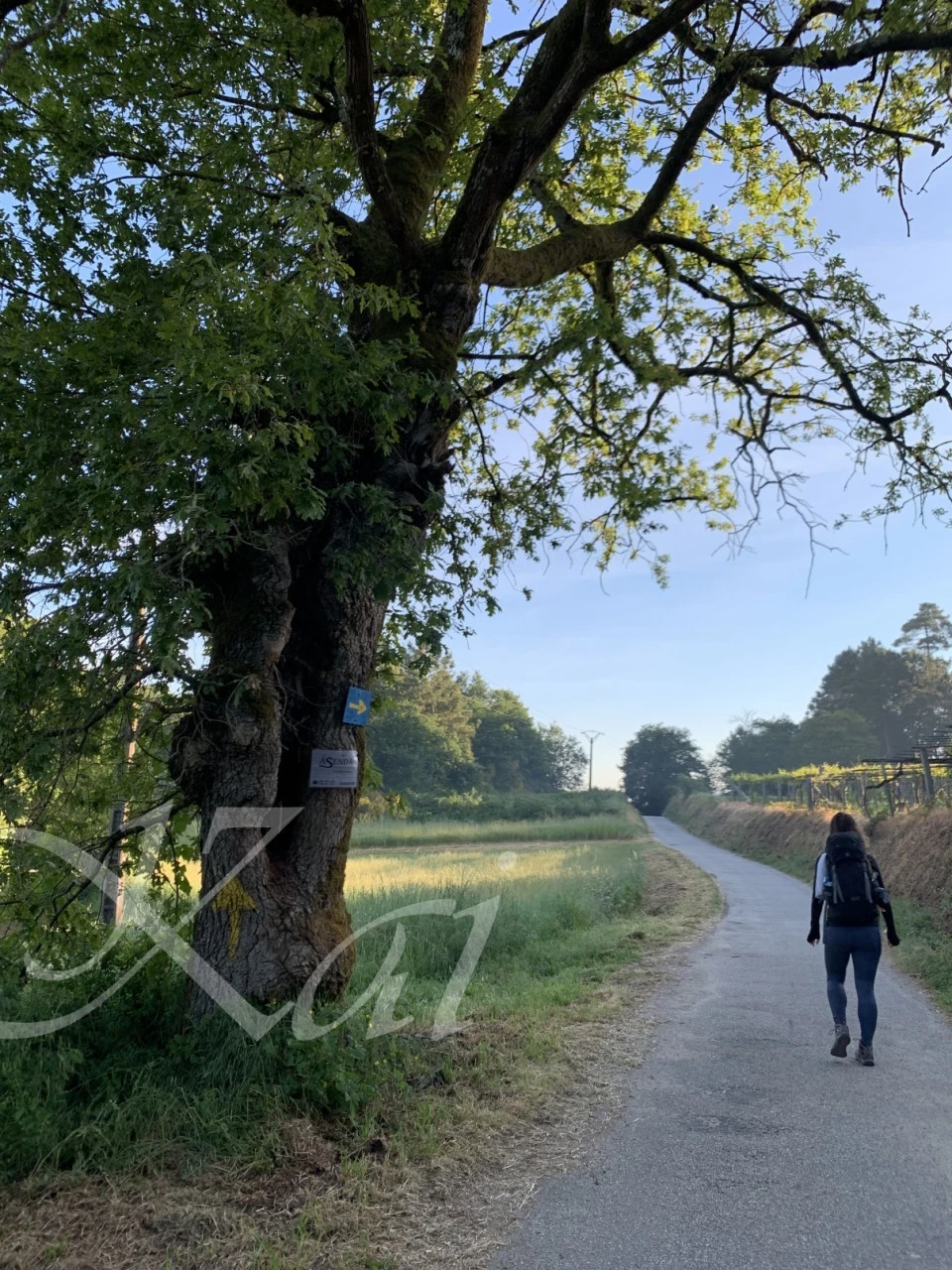 2_cgeUd018svc1aoswb6f2wqin_wocx9r.png?type=e1920_std