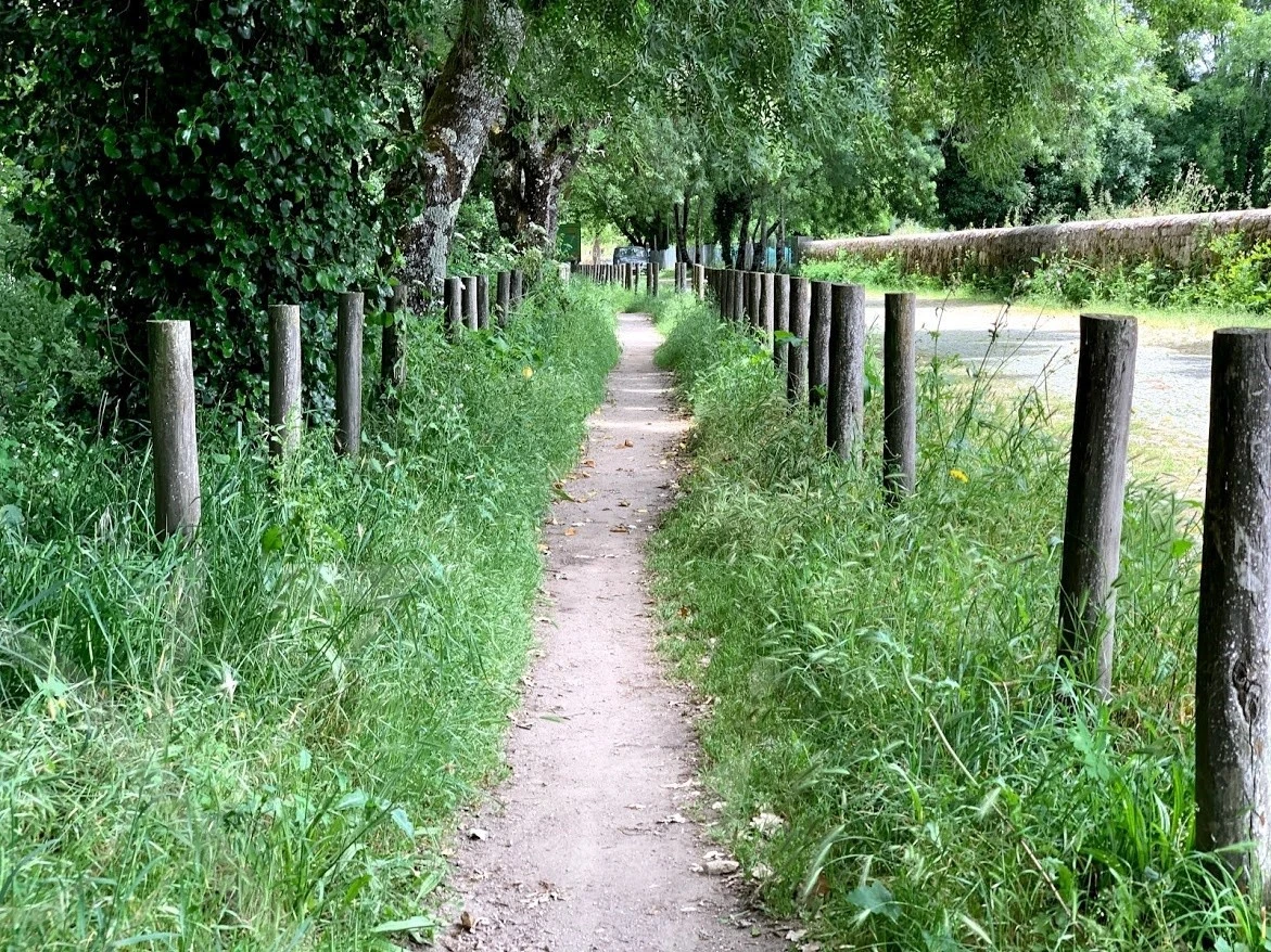 f_4daUd018svcxqvmximjtvw6_wocx9r.jpg?type=e1920_std