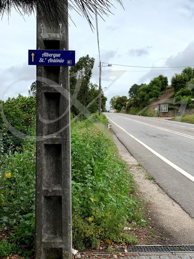 0_dfjUd018svcaed4sfr5w5z1_wocx9r.jpg?type=e1920_std