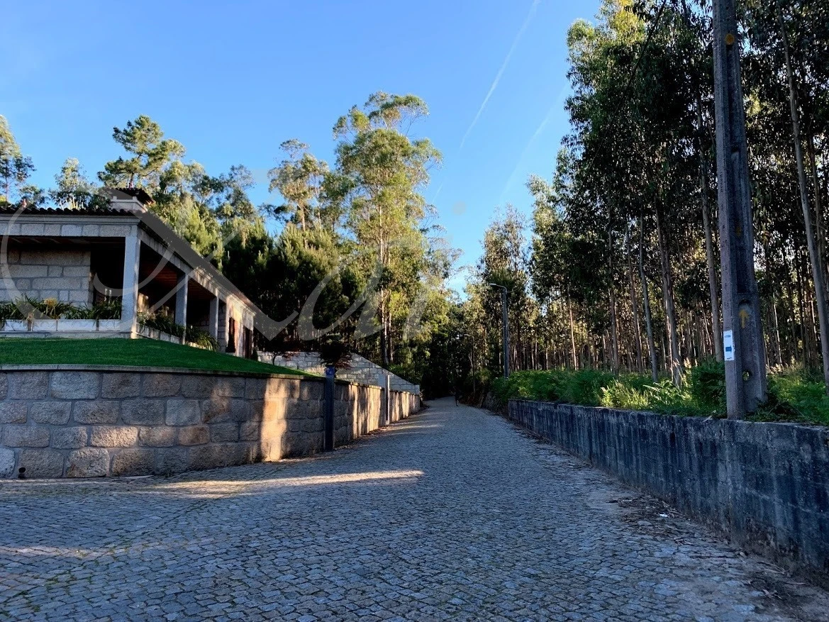 6_865Ud018svcmh2wcnh29f1b_wocx9r.jpg?type=e1920_std