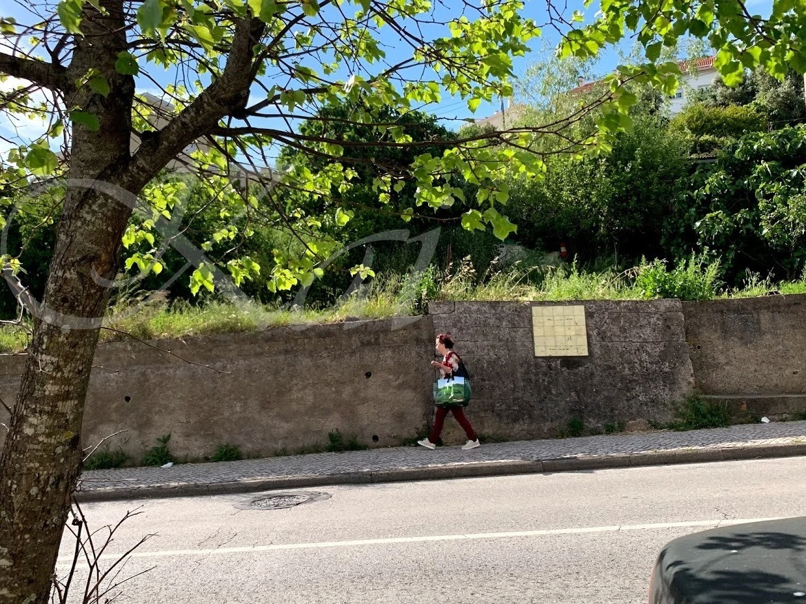 8_64jUd018svc1kxwyg8ki73y0_wocx9r.jpg?type=e1920_std